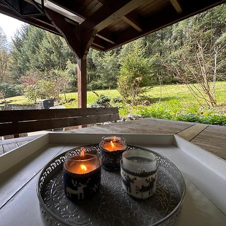 Charming Villa On The Forest In Wald 12 Guests Hugh Garden Willingen Sauerland Brilon Exteriér fotografie