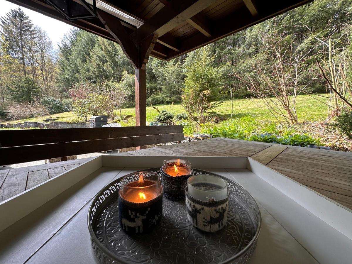Charming Villa On The Forest In Wald 12 Guests Hugh Garden Willingen Sauerland Brilon Exteriér fotografie
