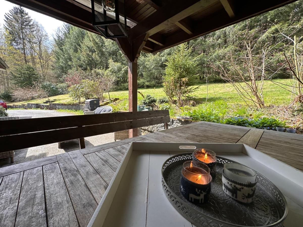Charming Villa On The Forest In Wald 12 Guests Hugh Garden Willingen Sauerland Brilon Exteriér fotografie